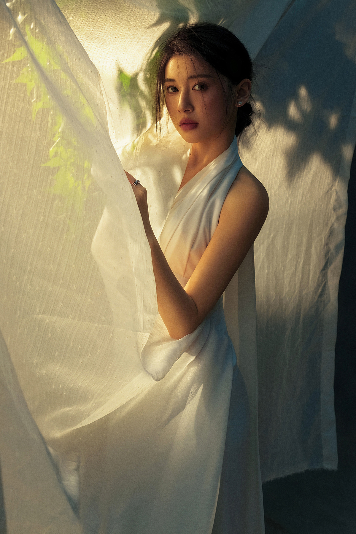 初夏阳光
